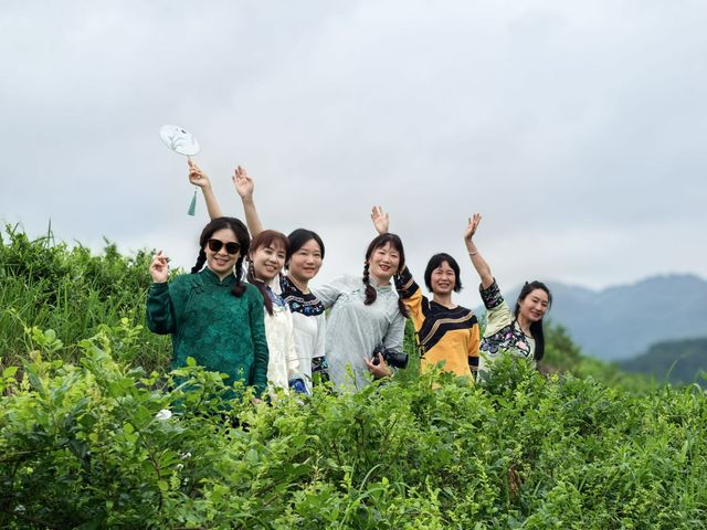 誤入小葉藤茶仙境！被這片綠意深深吸引