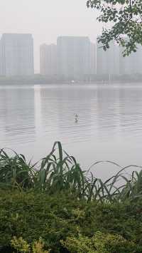 拂曉瓜渚湖，一筆江南韻
