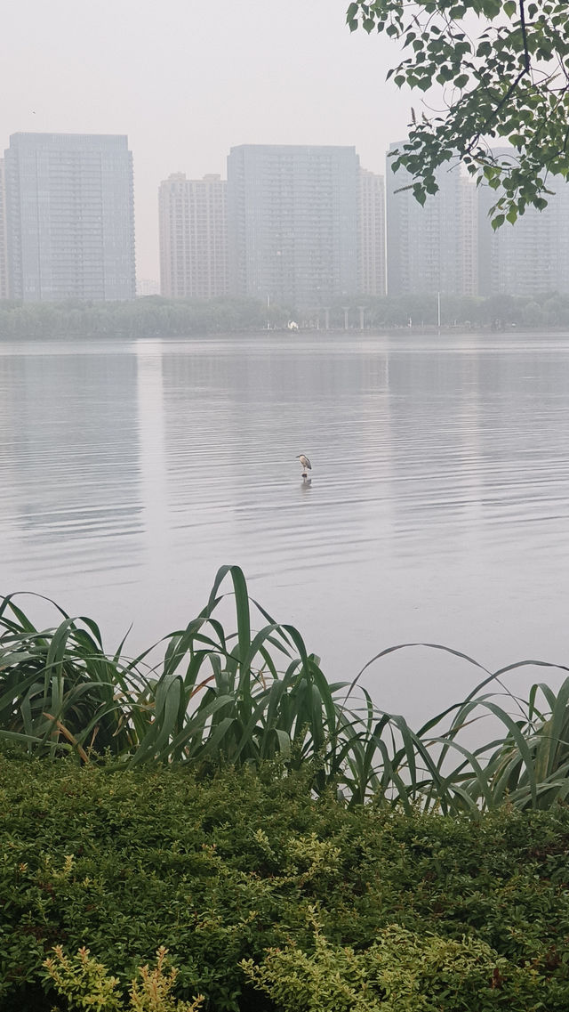 拂曉瓜渚湖，一筆江南韻