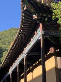 普陀山一日遊•虔誠拜三拜•發財好運被愛