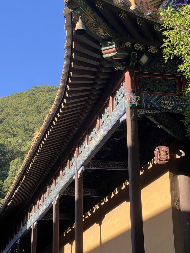 普陀山一日遊•虔誠拜三拜•發財好運被愛