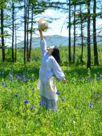 山坡上花開，我與春風撞個滿懷