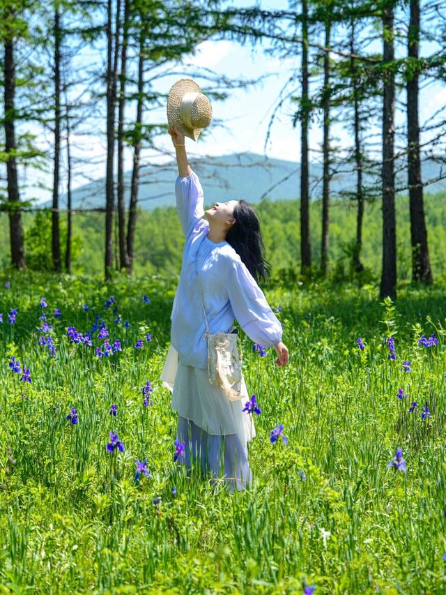 山坡上花開，我與春風撞個滿懷