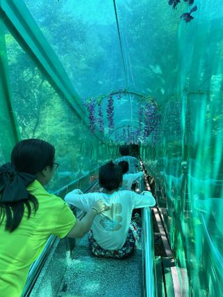 비자산!! 아마도 제가 아이와 함께 등반한 산 중에서 가장 재미있는 산일 거예요…