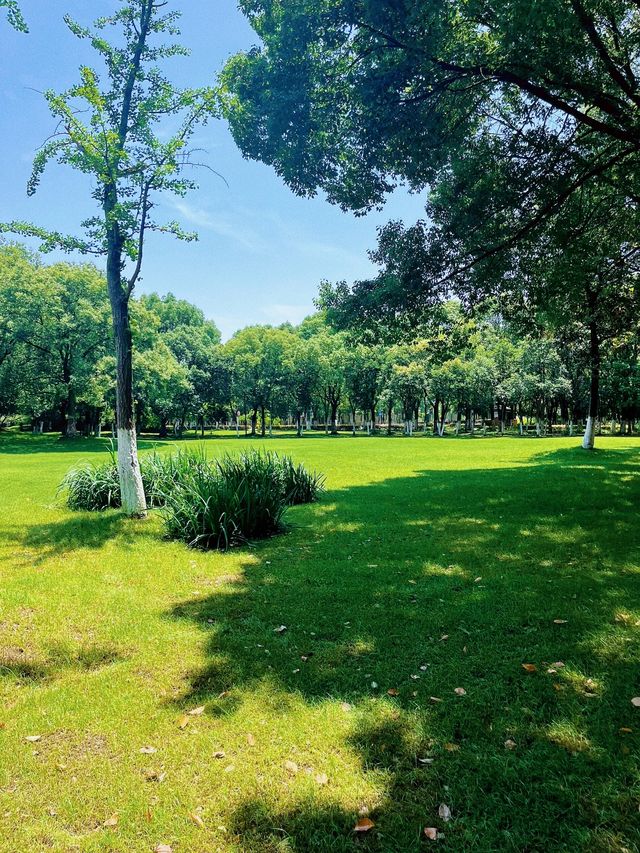 蘇州崑山巴城生志濕地公園:周邊遊
