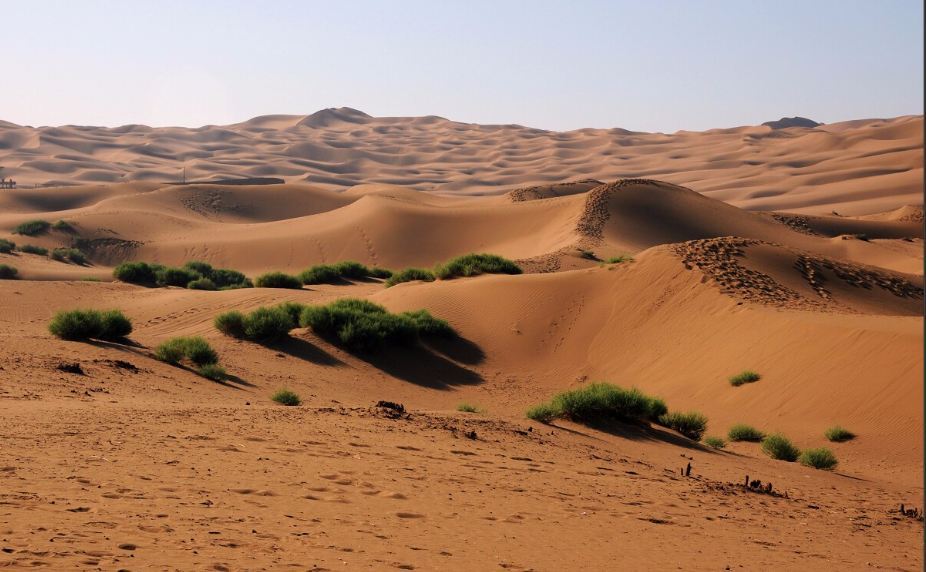 Hatem · The Epic of the Arabian Desert