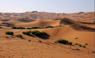 Hatem · The Epic of the Arabian Desert