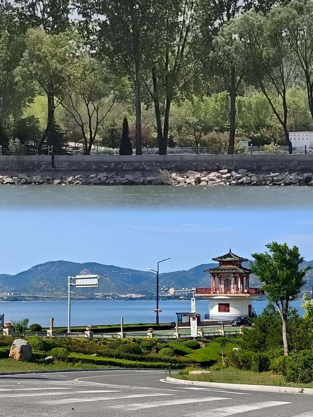 你覺得濟南「小洱海」名不虛傳嗎