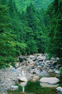 武夷山治癒指南