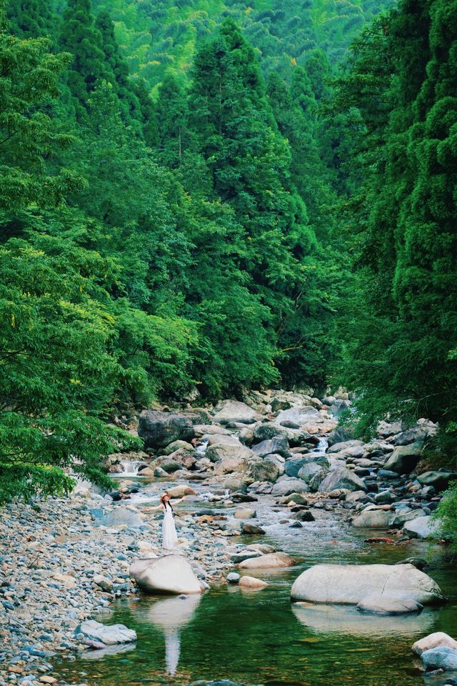 武夷山治癒指南