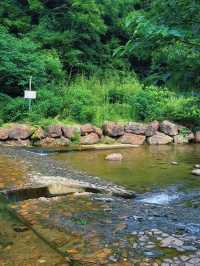 這個夏天住進可以玩水的酒店裏（湖州原鄉了雷迪森莊園）