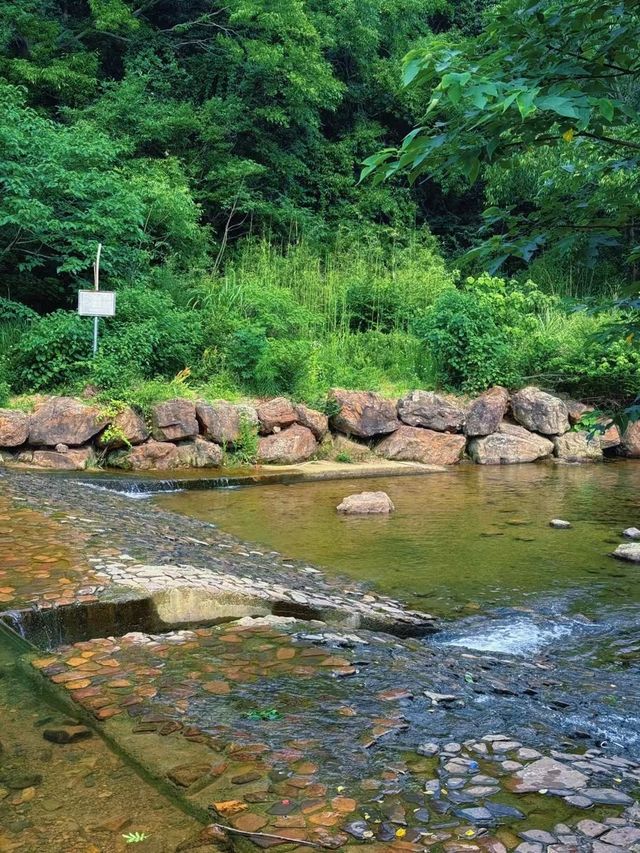 這個夏天住進可以玩水的酒店裏（湖州原鄉了雷迪森莊園）