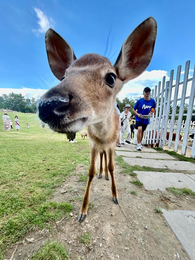 大理動物世界