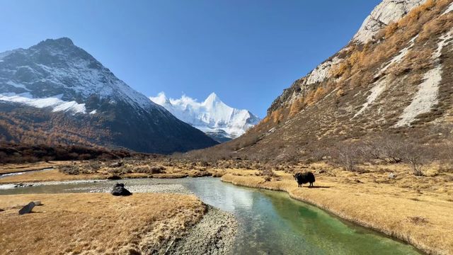稻城亞丁「從你的全世界路過|旅遊攻略
