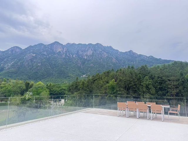 山間一席茶，靜待有緣人