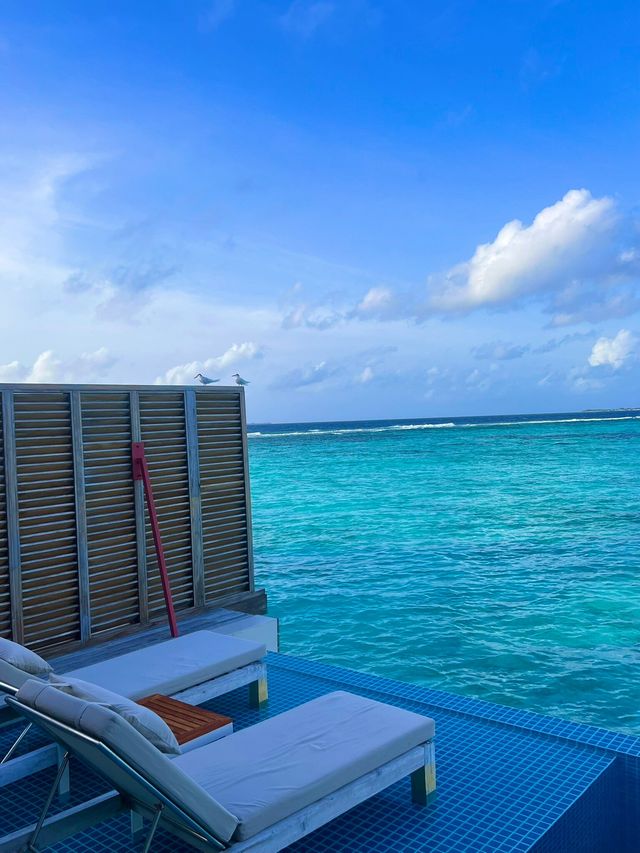 A Perfect Island Getaway