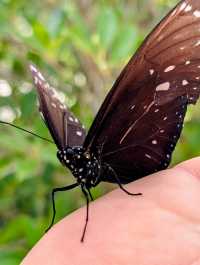 Beautiful Setting, Improvement Needed in Service Quality