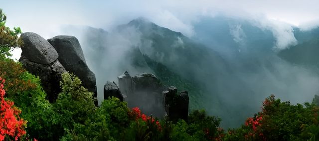 江西 3 日精華遊攻略:預算 3000元