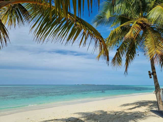 Wonderful Stay at Kuredu Island Wonderful Stay at Kuredu Island