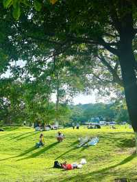 深圳公園天花板恩上濕地公園全攻略