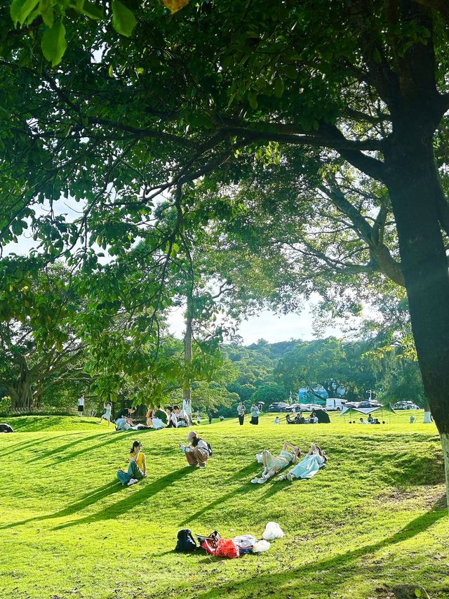 深圳公園天花板恩上濕地公園全攻略
