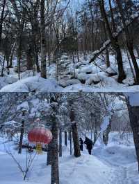 冬天嘅雪谷一個你嚟咗唔會後悔嘅地方！！