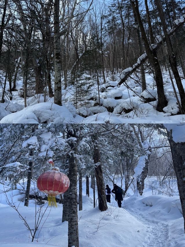 冬天嘅雪谷一個你嚟咗唔會後悔嘅地方！！