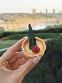 百年童話裡的愛德蒙頓城堡