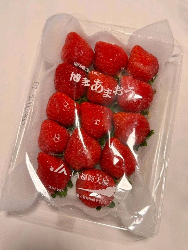 札幌秋景美食溫泉行程攻略🍁