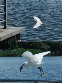 廈門「濱海綠道寶藏公園」