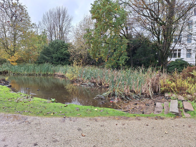 The Beauty of Vondelpark in Amsterdam