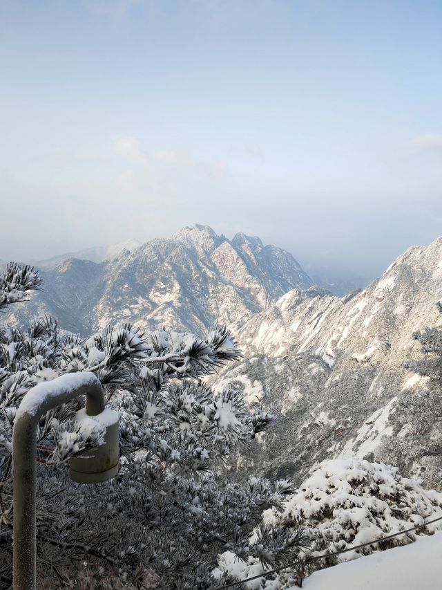 黃山冬日仙境！保姆級雪景攻略+冷門機位大公開 杭州出發2h直達！黃山雪景封神了家人們！ 