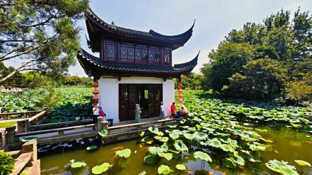 青浦水鄉秘境攻略