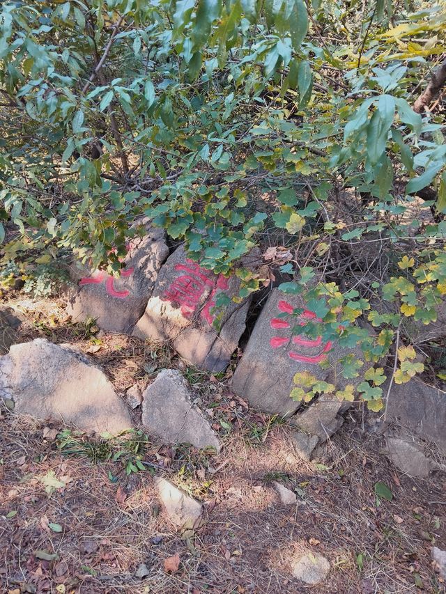 北戴河仙境暴走！500米登頂瞰海全景，劉莊夜市吃到撐！ 必去理由 山海畫卷！聯峰山登頂，承包