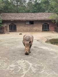#濟南野生動物世界｜與梅花鹿0距離貼貼攻略 自駕+步行雙體驗！保姆級攻略收好！ 濟南野生動物園