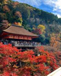 日本清水寺：懸於音羽山的千年舞台