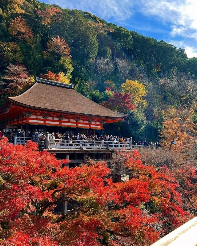 日本清水寺：懸於音羽山的千年舞台