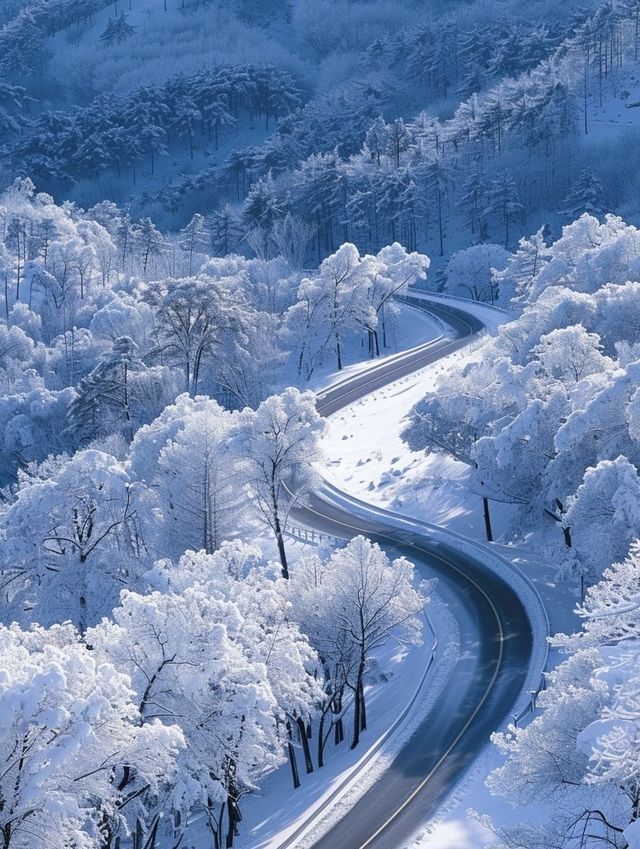 亞雪公路裹雪帶鬆如絲帶，一路風光醉人心