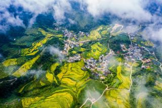 武平で最も美しい黄金色の田園と山湖の風景に出会う