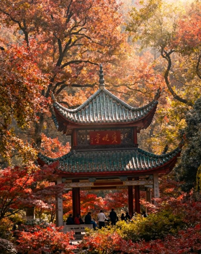 長沙保姆級攻略帶你遊玩絕美景點