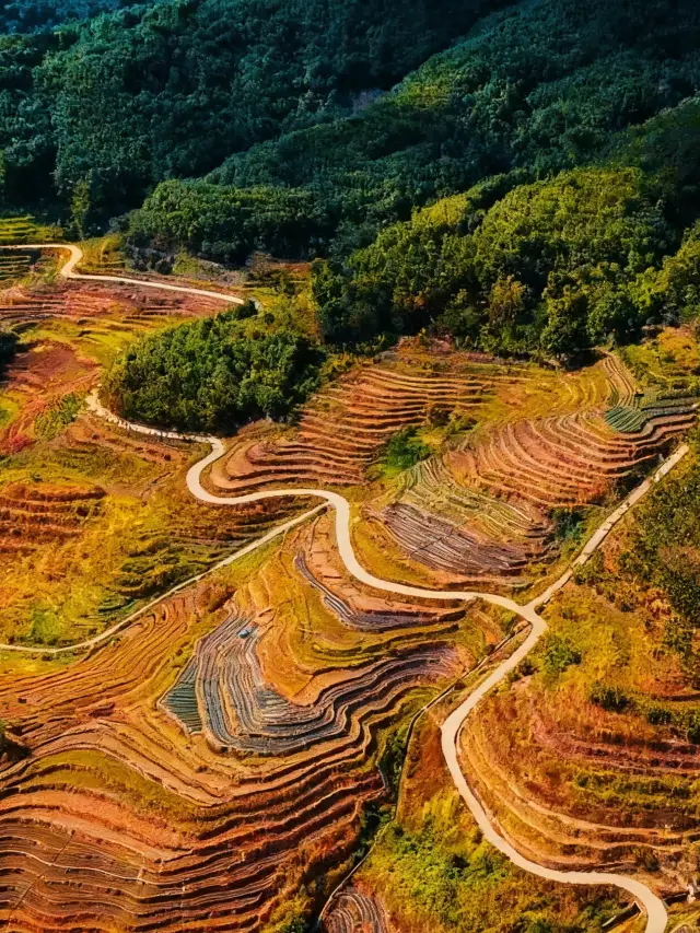 五指山秋日徒步｜闖入熱帶雨林的秘境