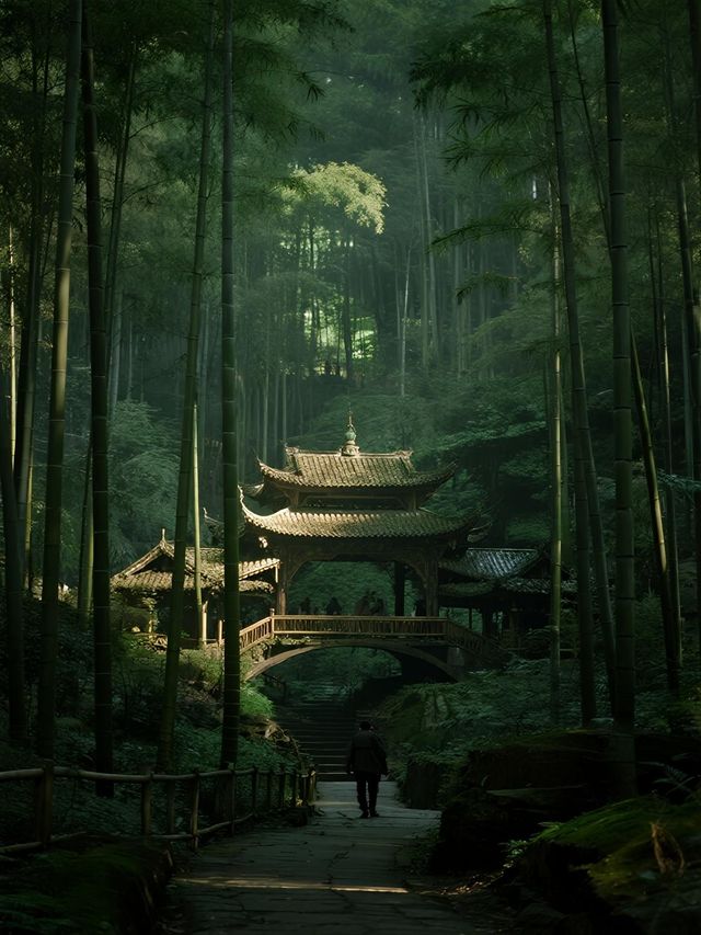 宜賓親子遊｜竹海一日超詳細時間表