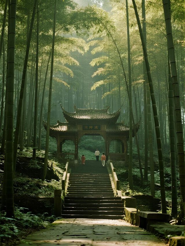 宜賓親子遊｜竹海一日超詳細時間表