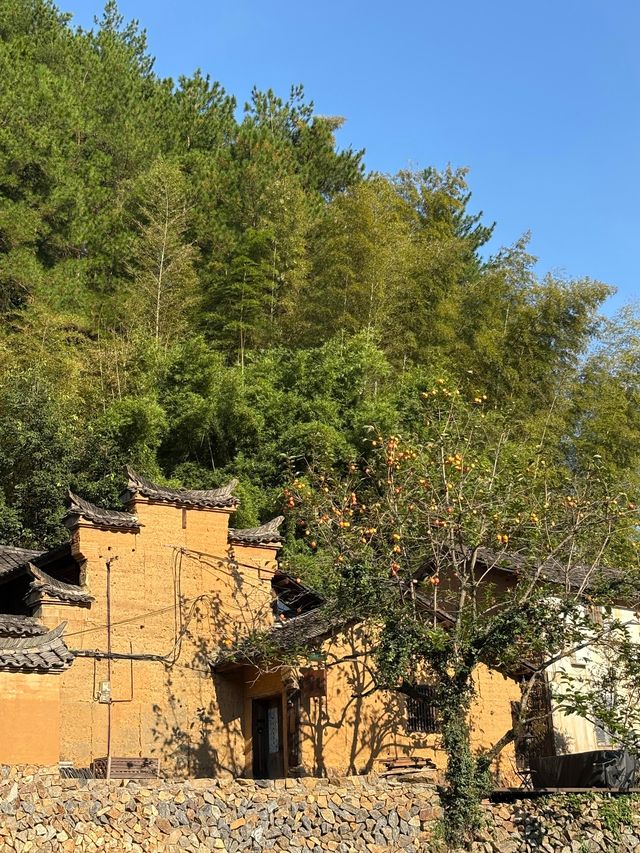 麗水松陽古村｜深藏山坳有人家 時光在此慢下來