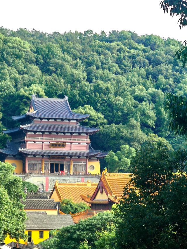 #現代化城市#杭州奧體博覽中心#西湖美景#大雄寶殿