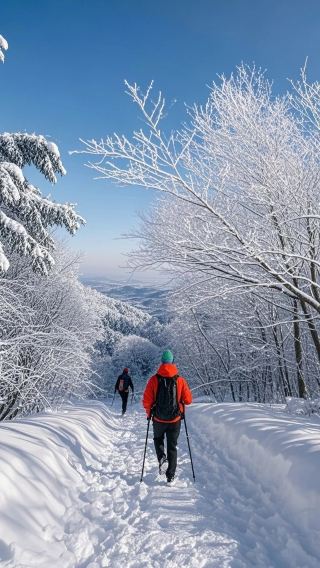 Complete Winter Rime Island Guide