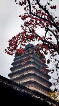 秋日去小雁塔感受歷史的厚重與自然和諧交融吧