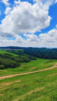 天水張家川平安草園：一場心靈與自然的完美邂逅