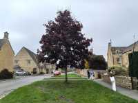 科茨沃爾德必打卡小鎮—斯勞特鄉村探秘