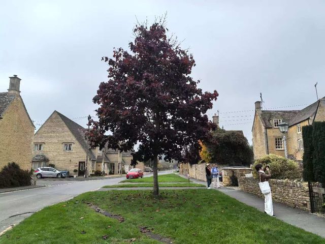 科茨沃爾德必打卡小鎮—斯勞特鄉村探秘 科茨沃爾德必打卡小鎮—斯勞特鄉村探秘